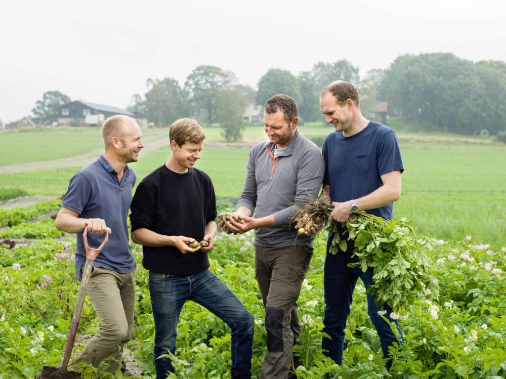 Fire personer står på et jordstykke med grønne planter, og en av dem holder en liten plante eller frø, mens de andre ser på og snakker, med åker og trær i bakgrunnen.