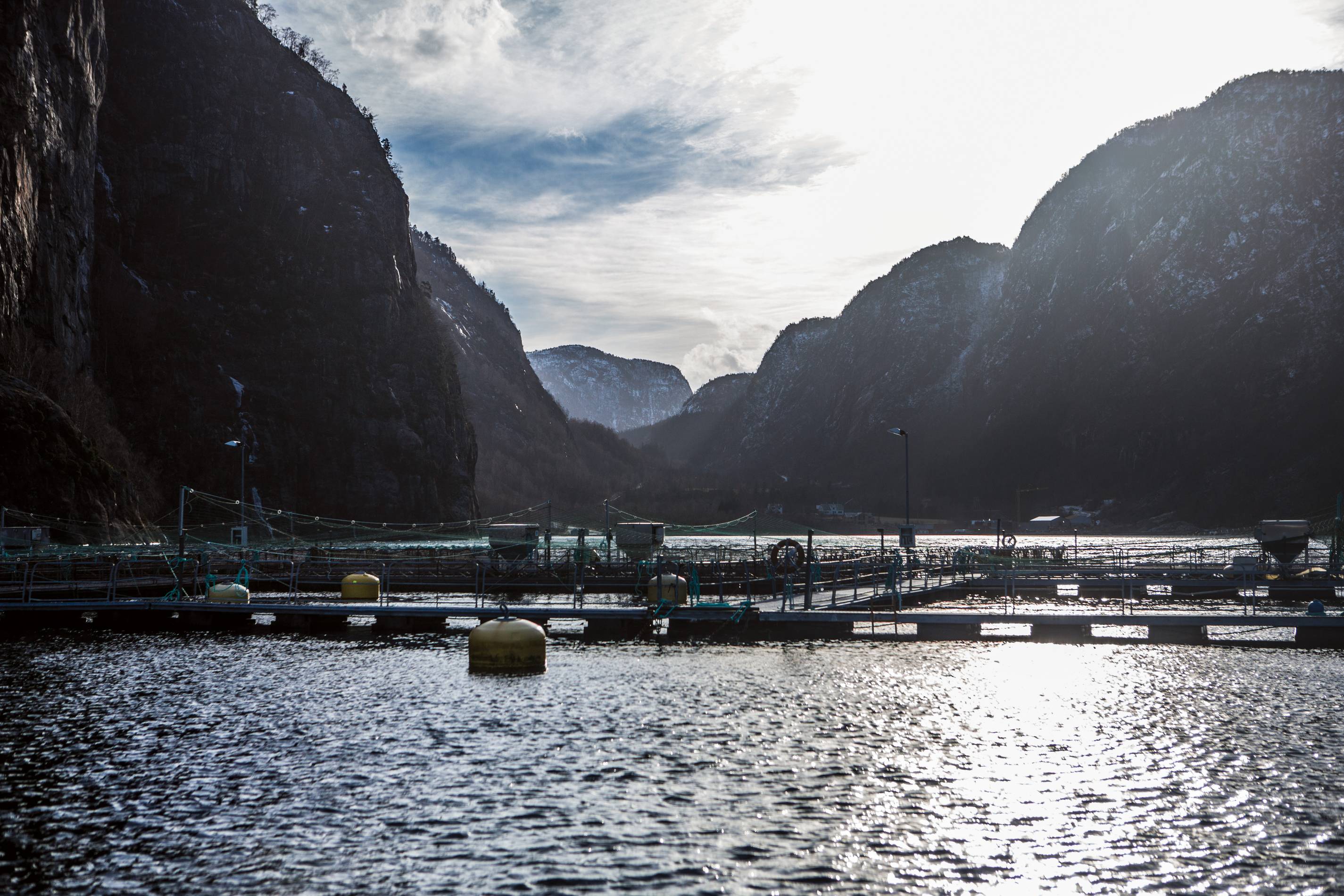 Utsikt over en fjord med fjell på begge sider og en liten båthavn i forgrunnen.