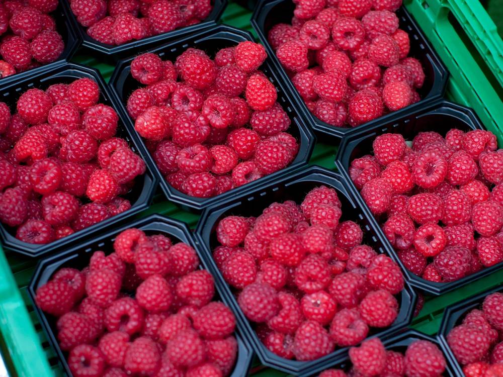 Kurver fylt med ferske bringebær i en butikk eller på markedet