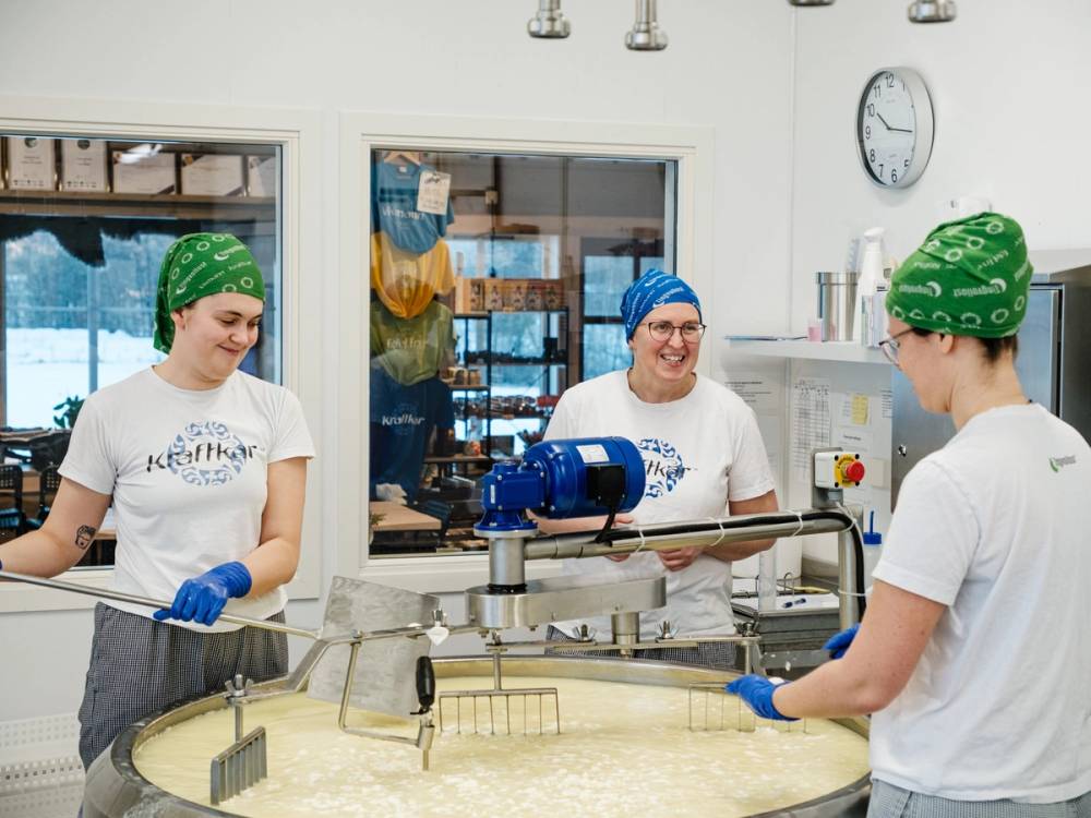 Tre personer i hvite T-skjorter og grønne eller blå hårnetter jobber med ost i en fabrikk, med en stor rund ost på arbeidsbordet.