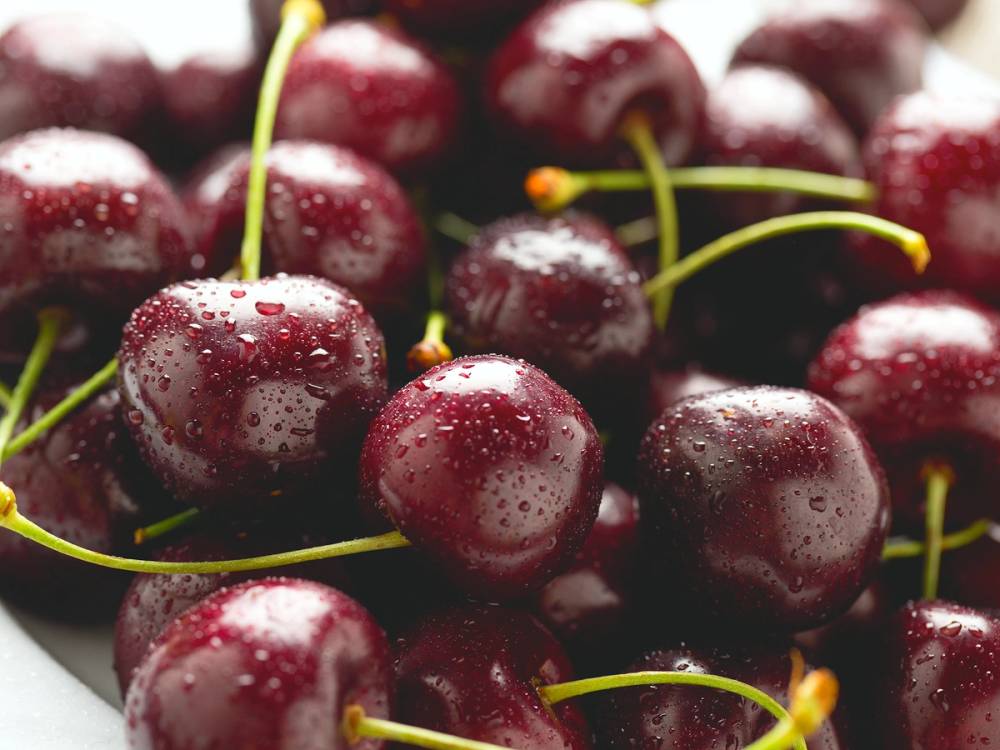 Nærbilde av moreller med vannperler på overflaten, flere frukter ligger tett sammen.