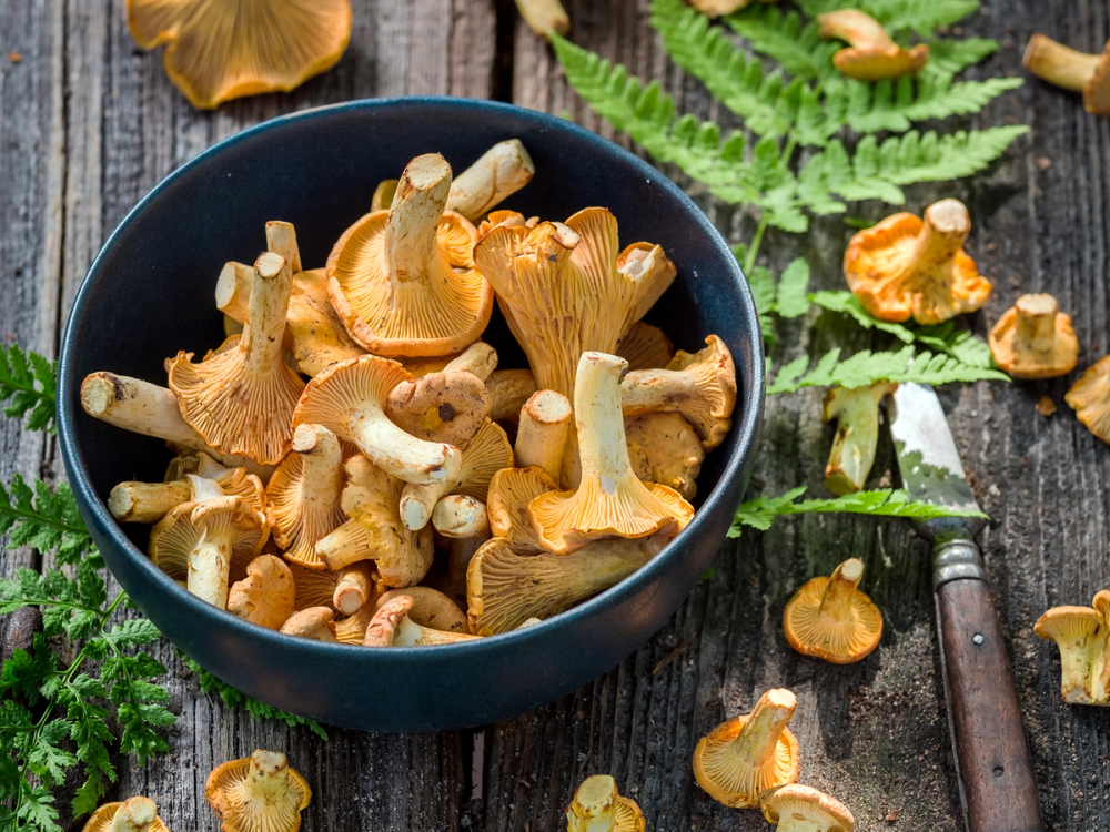 En skål med ferske sopp på et trebord med grønne blader rundt.