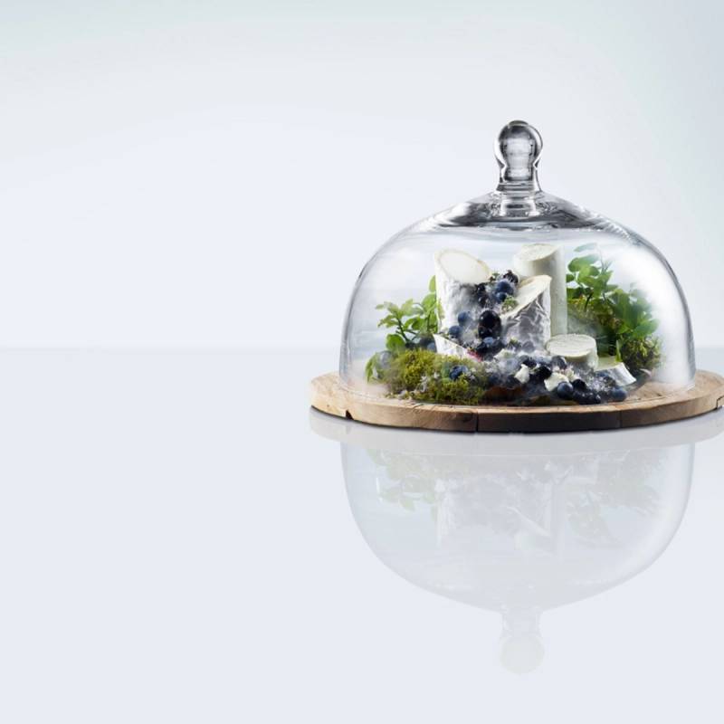 Et lite økosystem med planter og steiner under en glassklokke, satt på en rund treplate, med Haukeli-bakgrunn i bildet.