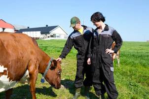 To personer i arbeidsklær står ved en ku på en grønn eng med hus i bakgrunnen, under en klar blå himmel.