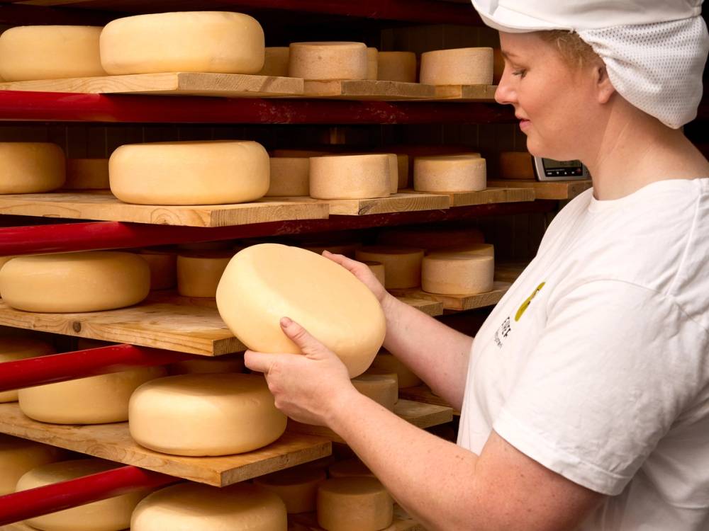 Person i hvit arbeidsdress og hårnett som plukker ost fra hyller i en ostebutikk eller fabrikk.