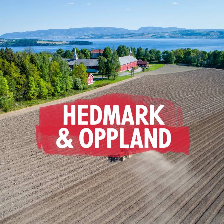 Hedmark og Oppland