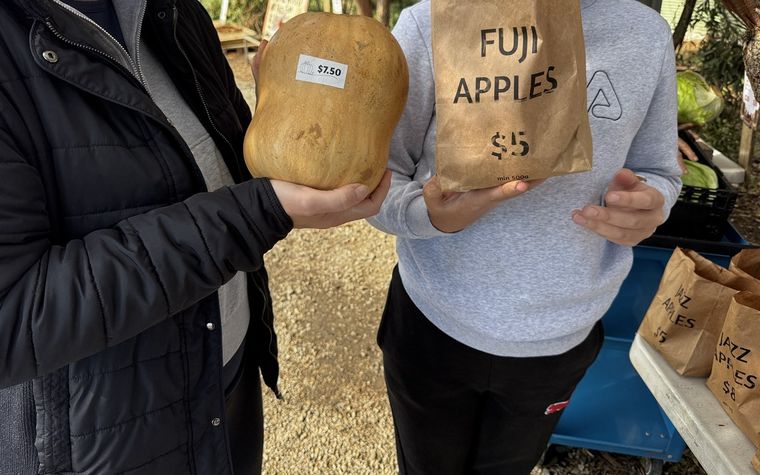 Pumpkins and apples picked up from a roadside farm gate