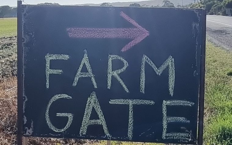 A roadside farm gate stall sign beside a country road
