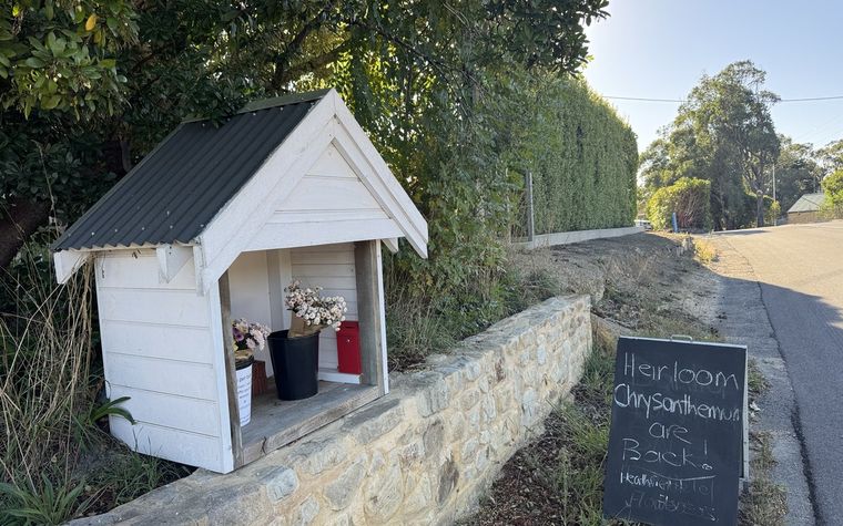 A small roadside honesty hut with flowers for sale