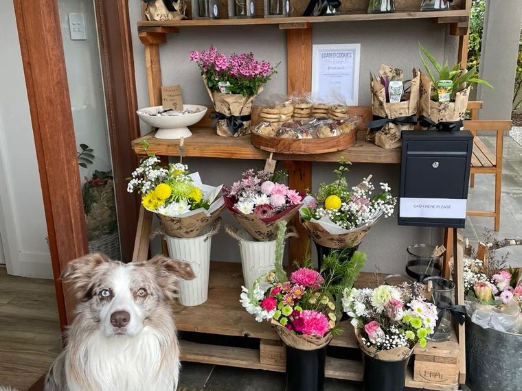 The Posy Patch stall at Mount Barker, with wrapped flower bouquets in tins, potted plants and a board of loaded cookies, a cash box on the wall and a merle dog sitting out front