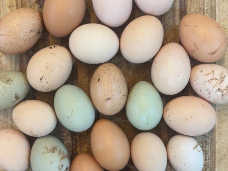 Multicoloured free-range eggs, blue, green, brown and cream, on a wooden board, from Fair Oak Farmstead in Kindred