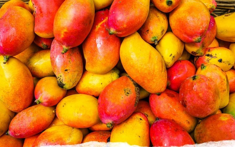 A crate of red and gold mangoes filling the frame