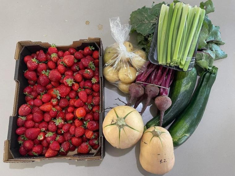 A haul of fresh strawberries from a SideStall seller