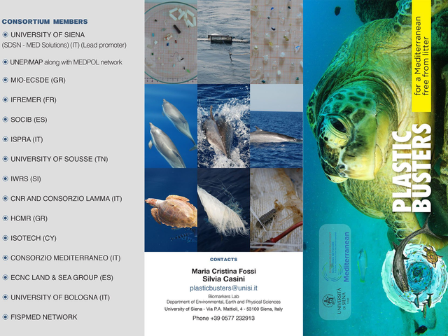 Plastic Busters Project – Moving Forward in Siena - Sustainable ...