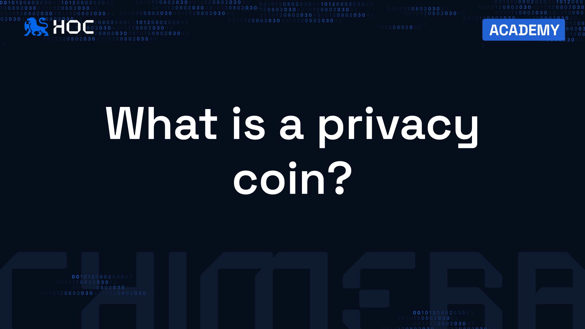 What is a Privacy Coin?