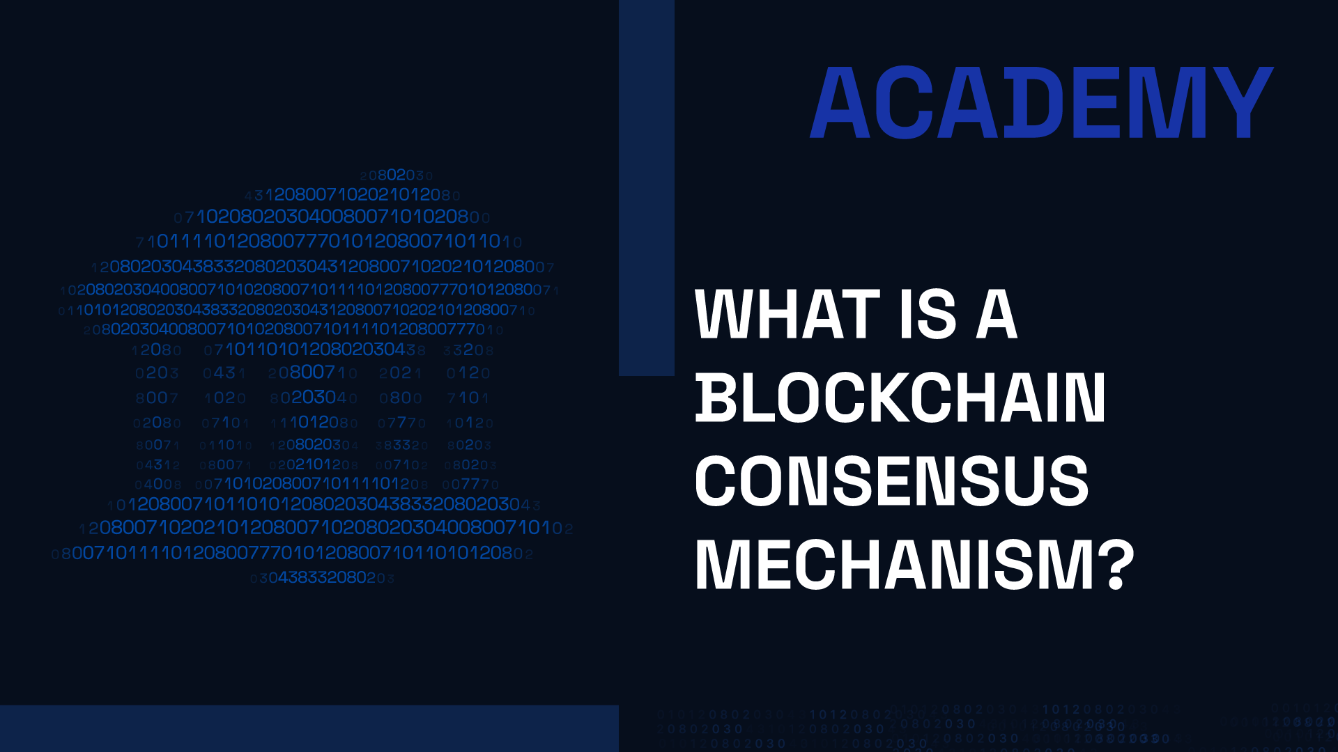 What is a Blockchain Consensus Mechanism?