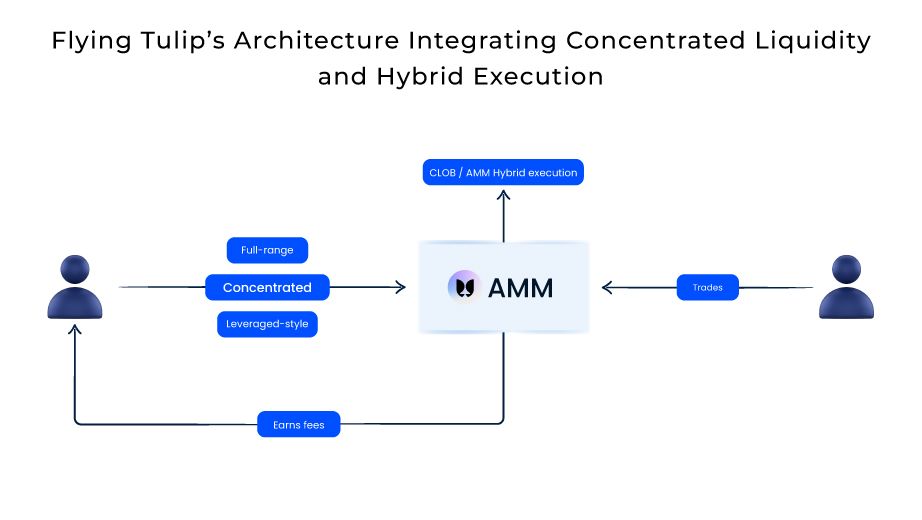Diagram illustrating Flying Tulip’s AMM architecture combining concentrated liquidity and a CLOB/AMM hybrid execution system. Liquidity providers choose full-range or leveraged-style concentrated positions and earn fees. Traders interact with an AMM that routes orders using hybrid execution.