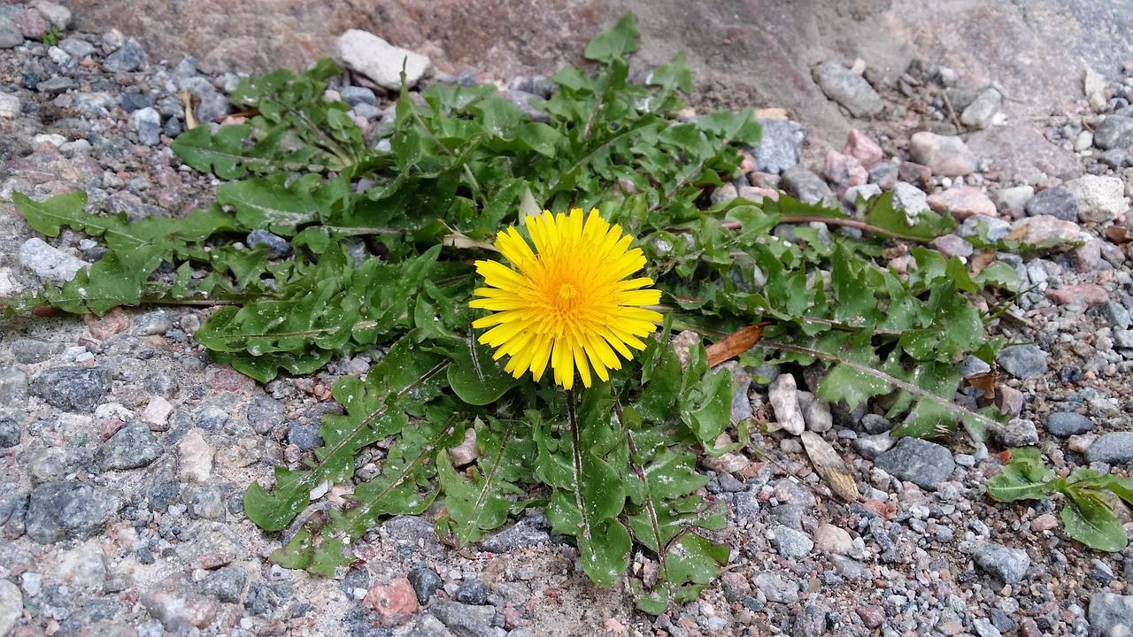 Den norske demokratiske illusjon