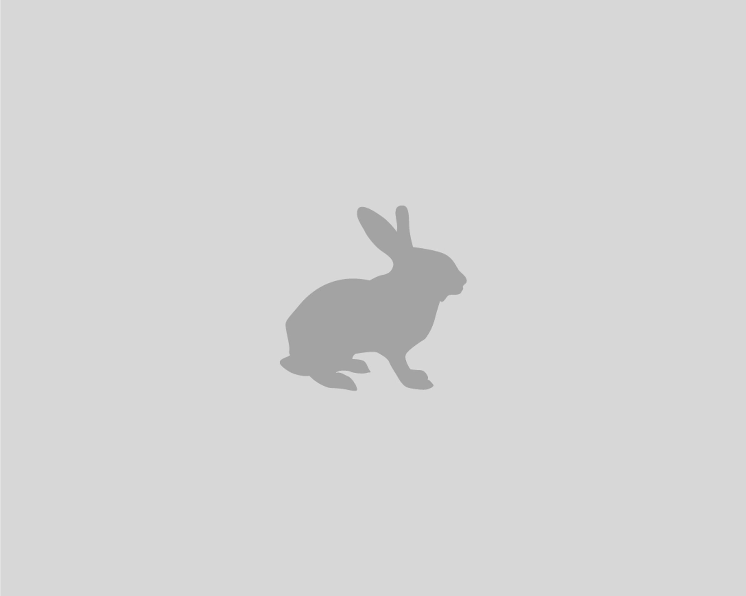 A Gray Rabbit of Unknown Species