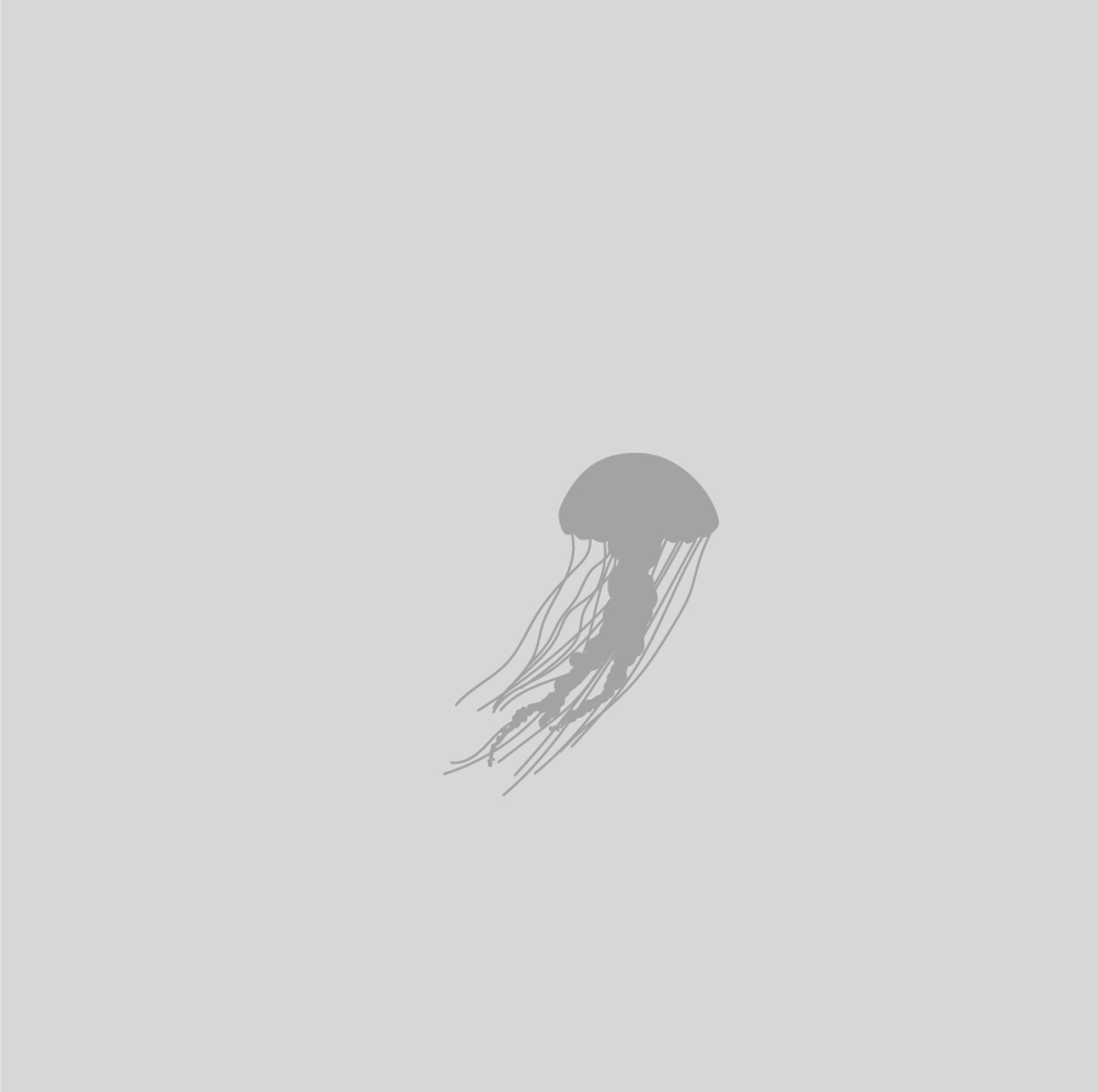 Two Thousand, Four Hundred Seventy-eight Jellyfish