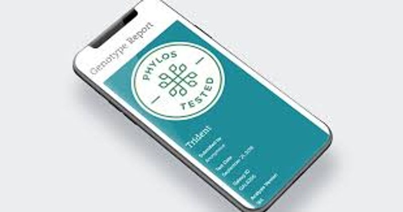 Genotype Report Redesign