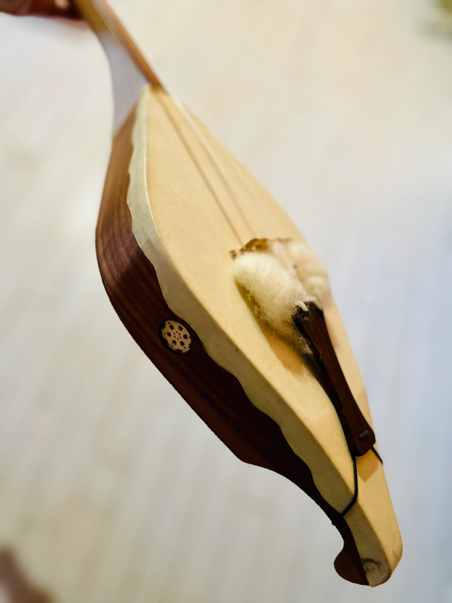 ProIgil 5.0 SHBd – photo 1