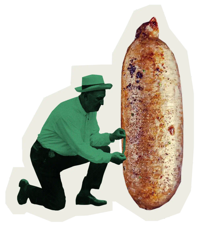 IMAGE MANQUANTE — à remplacer