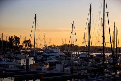 Marina del Rey 2024, photo 6