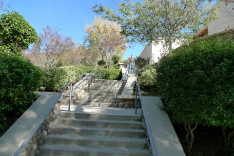 Brandeis-Bardin 2008, photo 41
