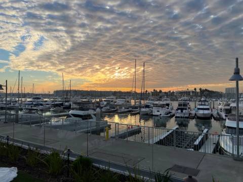 Marina del Rey 2022, photo 9