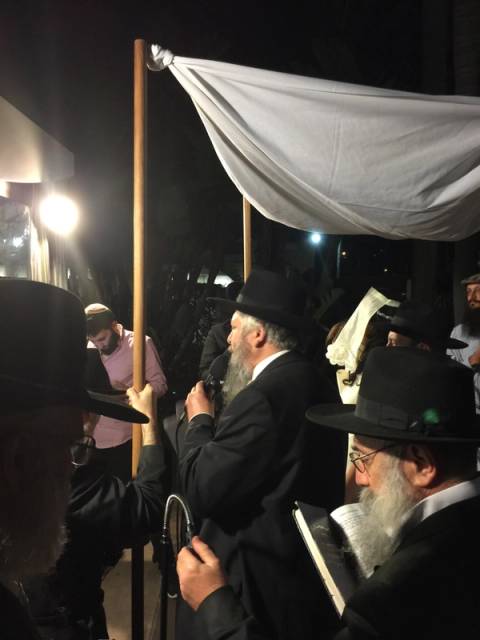 Reuven and Leah's chatuna, photo 33