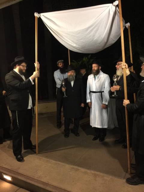 Reuven and Leah's chatuna, photo 26