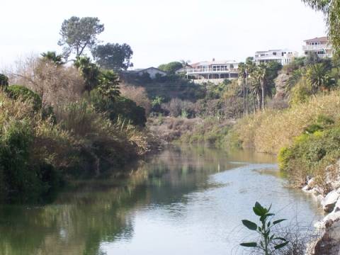 Aliso Creek 2005, photo 45