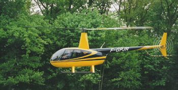 Robinson R44 au-dessus des arbres