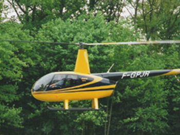 Robinson R44 au-dessus des arbres