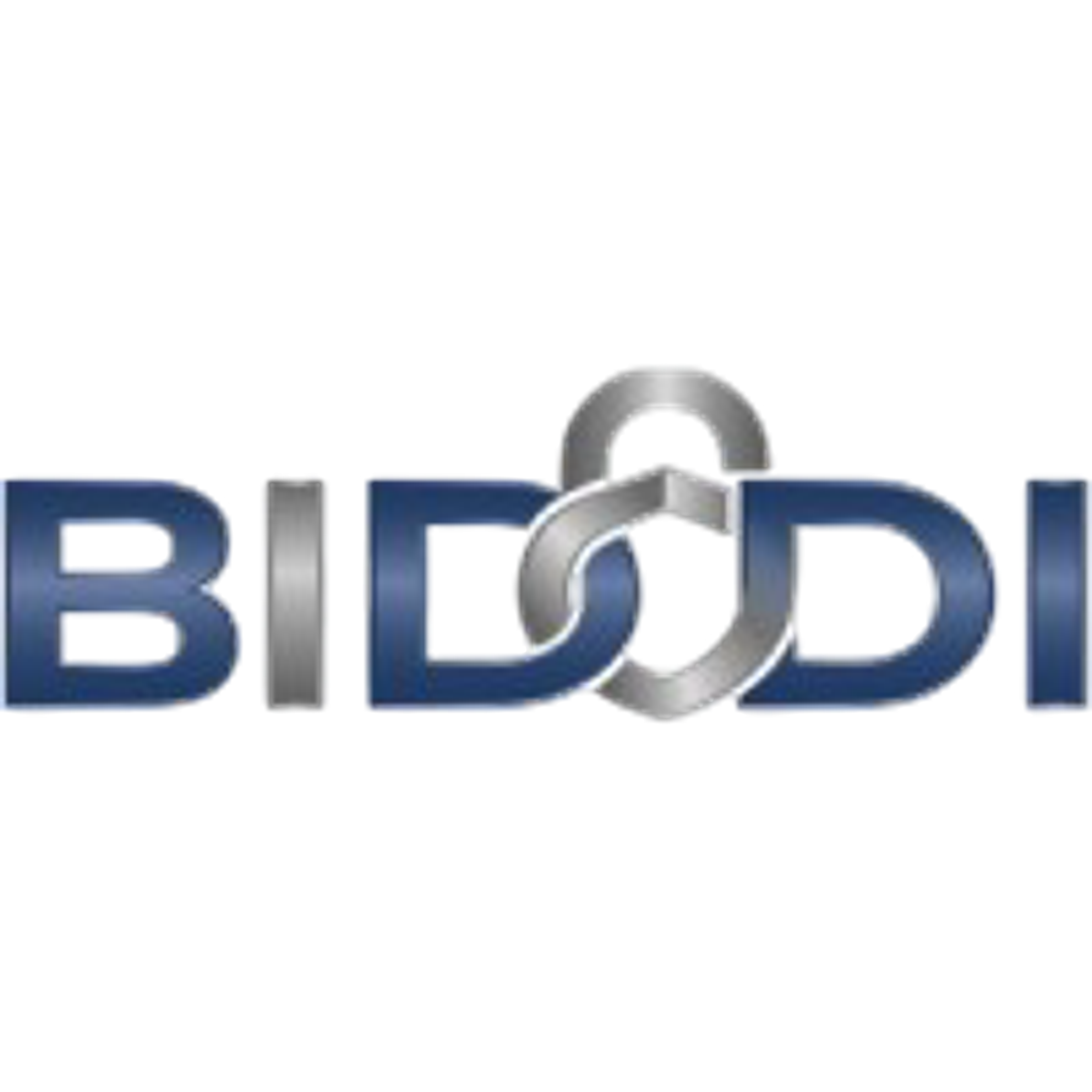 BIDODI InfoSec logo