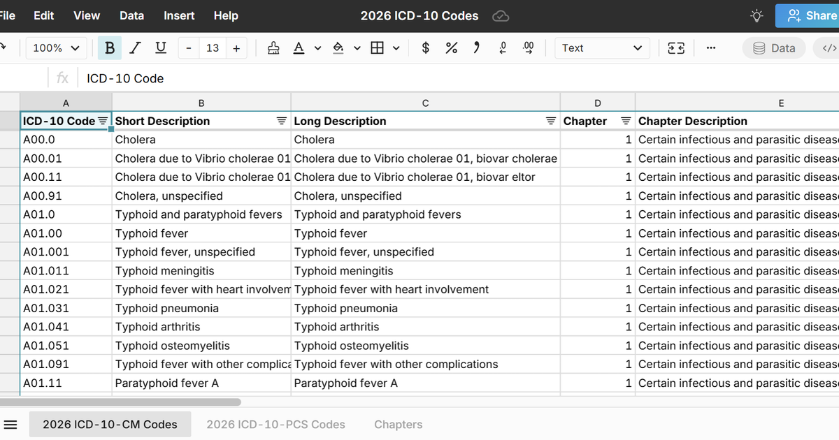 ICD-10 codes in a spreadsheet - Row Zero – the spreadsheet for modern ...