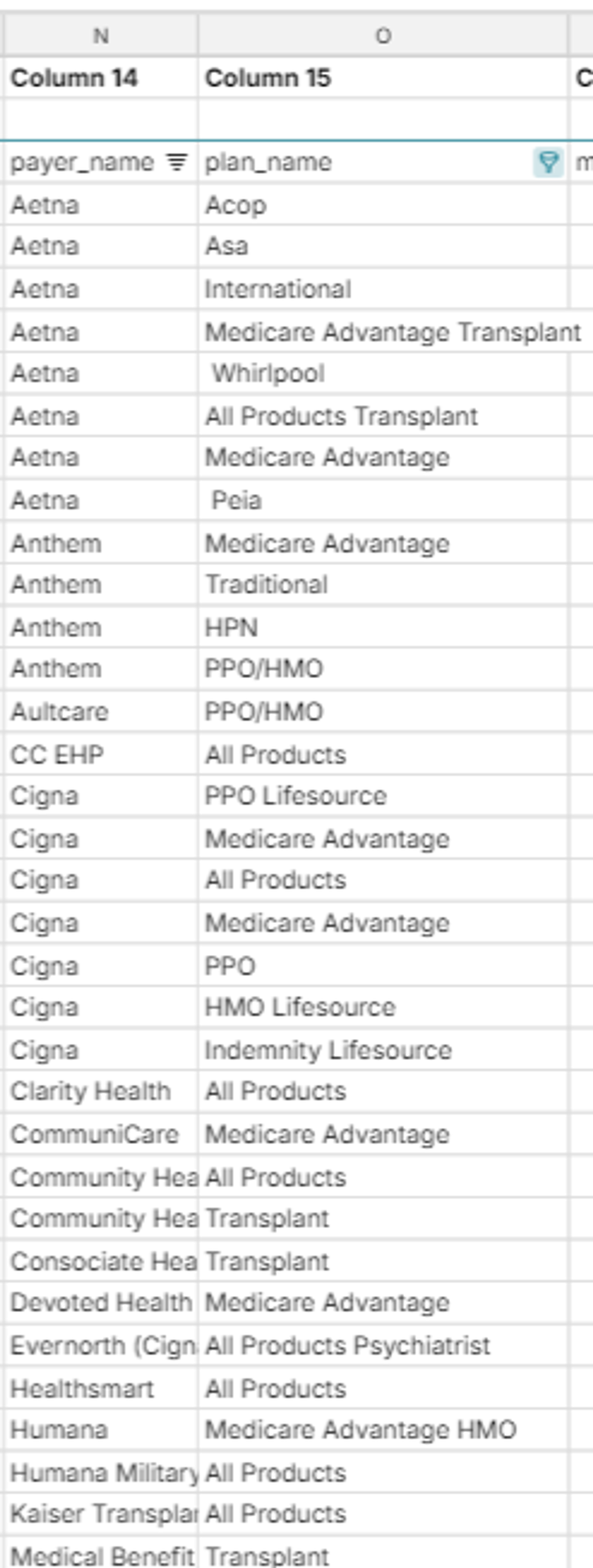 plan and payer name example