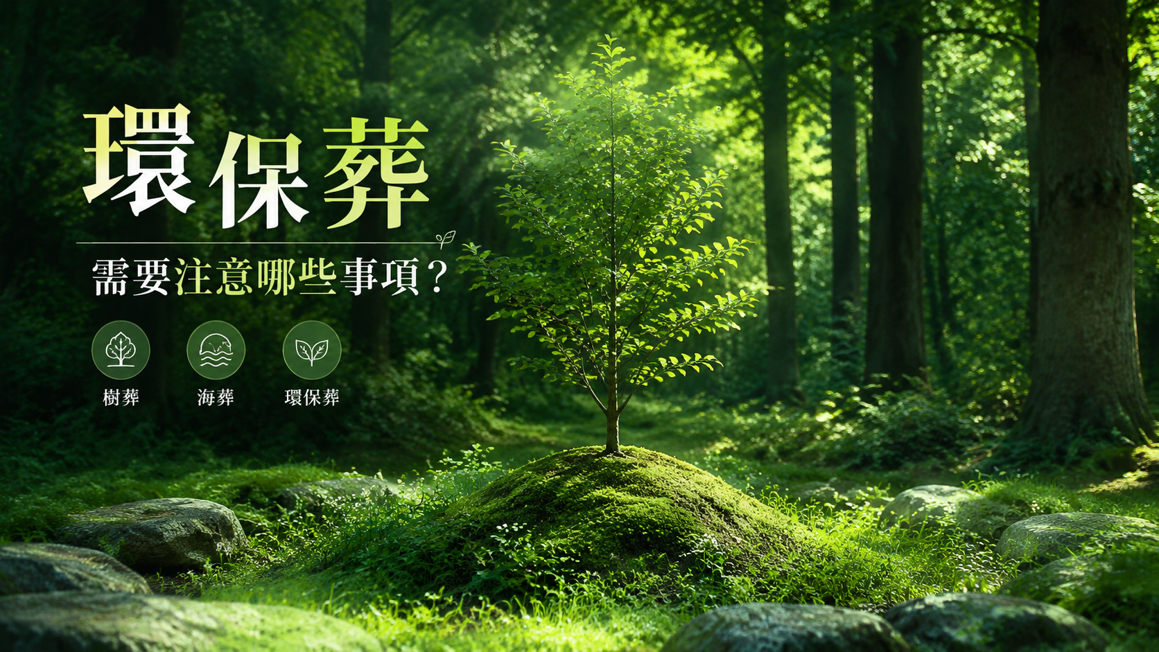 環保葬需要注意哪些事項？