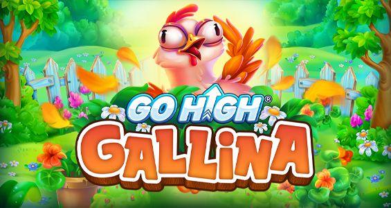 Go High Gallina