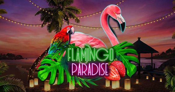 Flamingo Paradise