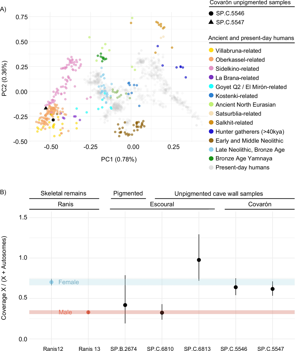 Two stacked charts. The upper is a principal component scatter plot in which two black markers for the Covaron samples sit inside a dense cluster of yellow and orange points labelled Villabruna related and Oberkassel related, at the far left of a cloud of grey present-day individuals. The lower chart plots X to autosome coverage ratios for seven samples against a blue female band and a red male band; the pigmented sample SP.B.2674 carries an error bar long enough to reach both.