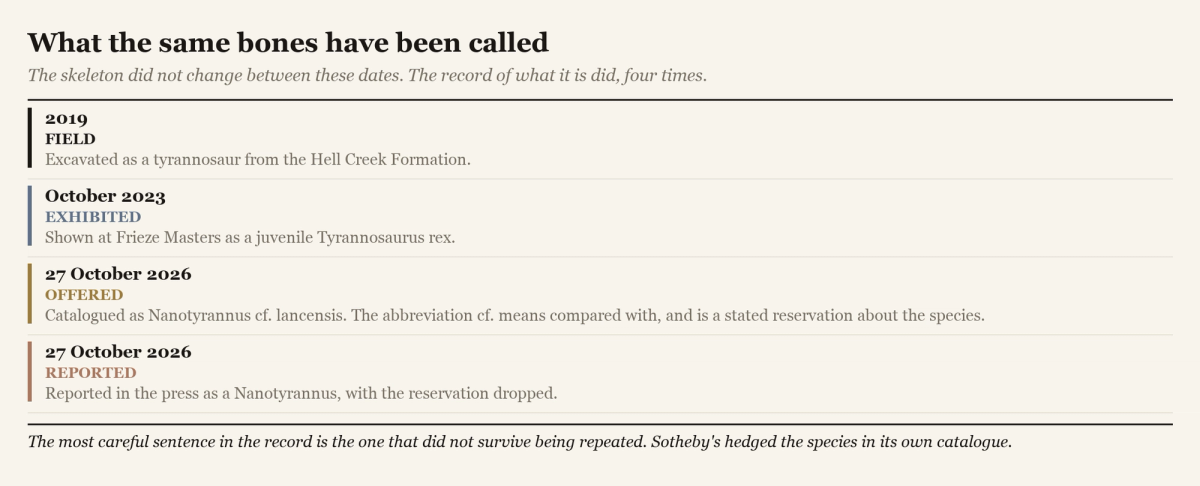 A figure listing what the same skeleton has been called at four dates, from its excavation in 2019 to the press coverage of the 2026 sale.