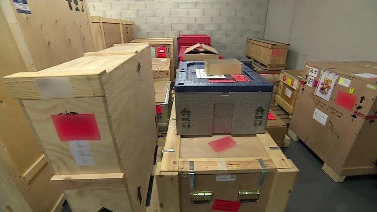  The Physical Architecture of Institutional Stasis: Inside a high-security freeport facility where assets are converted into financial metadata. 