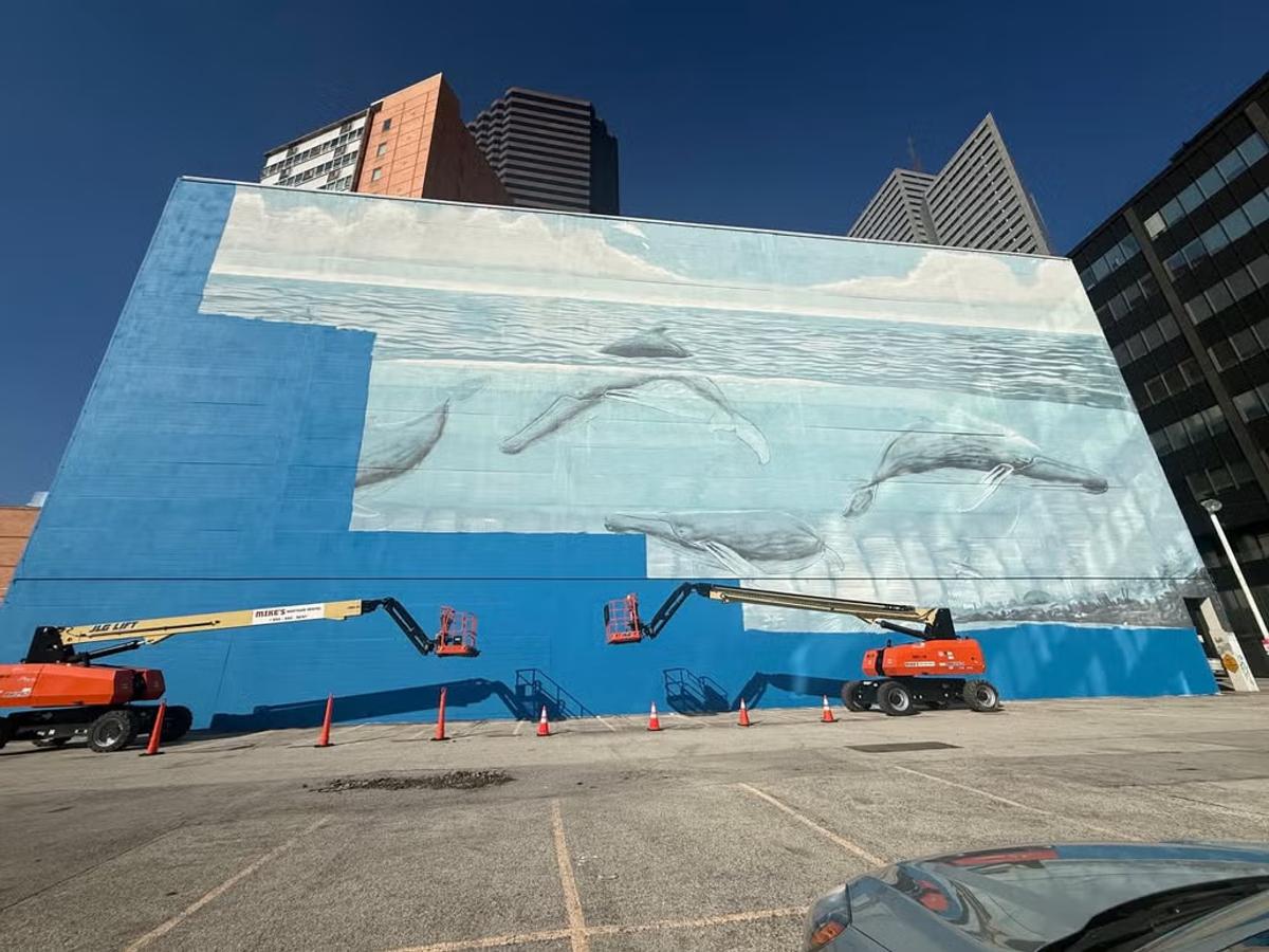  Speculative Velocity enacted on the built environment: the documented conversion of an original civic landmark into an empty commercial slate. 