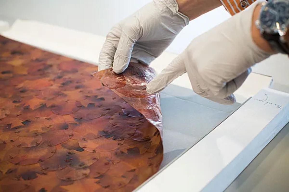 A close-up view of a conservator handling A Flor de Piel underscores the work's material fragility. The institutional burden of care and the ongoing cost of stewardship validate the object's conceptual function and inalienable value far beyond its acquisition price.