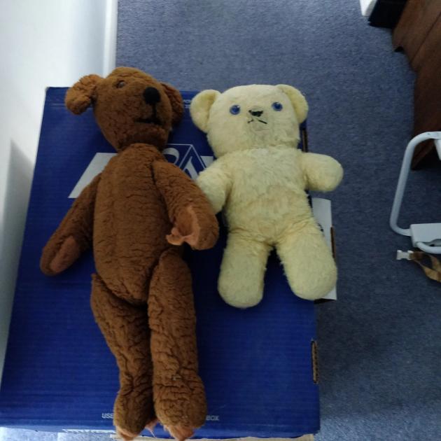Two old teddy bears with worn, flattened fur and faded stitching, seated side by side.