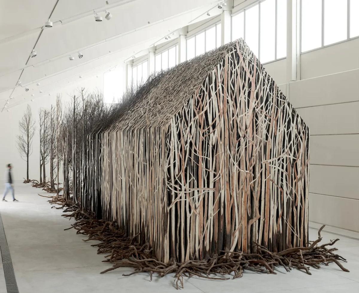 The installation Uprooted (2020 to 2022) transforms the recognizable silhouette of a house using hundreds of dead, sculpted trees. This building of pure exteriority (Salcedo) functions as an uncanny repository for the trauma of displacement and irreparable loss.