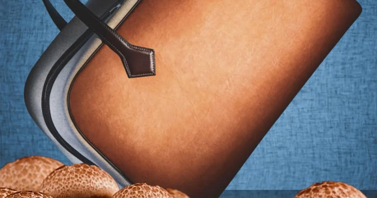 A tan leather tote with dark handles floating against a blue textile backdrop, with a dense cluster of pale brown capped mushrooms growing across the foreground.