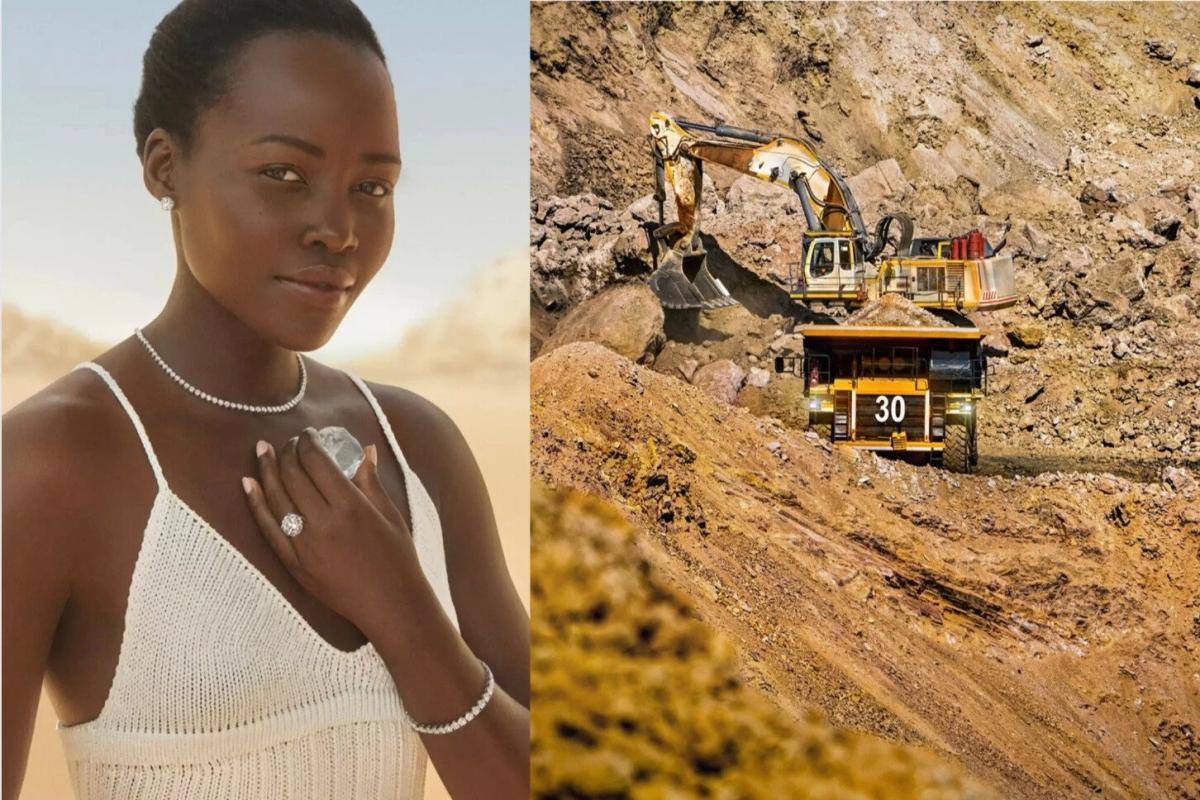 The Root Marketing Dichotomy: The industrial extraction machinery (the reality of the Root) is visually erased by the Flawless Geometry of the final marketing spectacle, demonstrating the refusal to bear the Cost of Intention.
